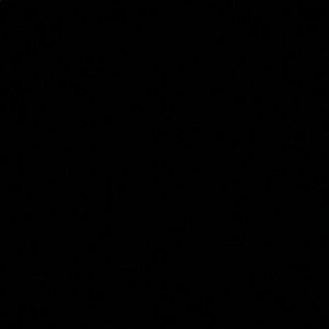 Meet your Posher, Moshe